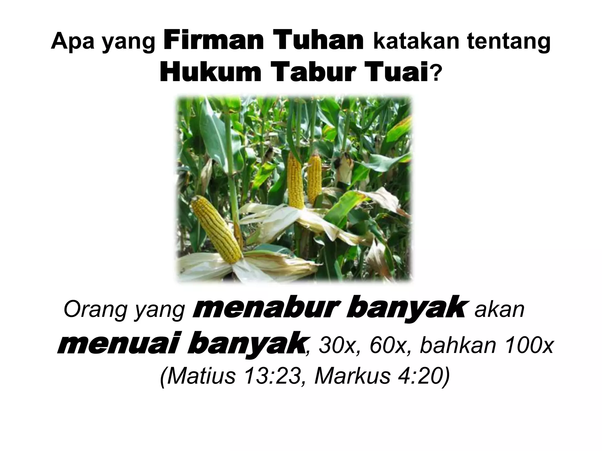 Apa yang FirmanTuhankatakantentangHukumTaburTuai?Orang yang menaburbanyakakanmenuaibanyak, 30x, 60x, bahkan 100x (Matius 13:23, Markus 4:20)