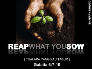 By FERRY TANOTO REAPWHAT YOUSOW [ TUAI APA YANG KAU TABUR ] Galatia 6:7-10 