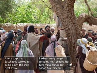 A very surprised
Zacchaeus started to
climb down the tree
right away.
Zakheus yang sangat
terkejut itu, seketika itu
juga mulai turun dari
pohon Ara tersebut.
 