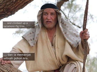 ... and climbed up a
sycamore-fig tree.
... dan ia memanjat
sebuah pohon Ara.
 