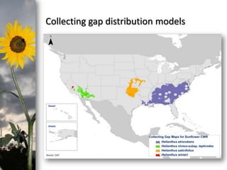 photo- Kasia Stepien

Collecting gap distribution models

 