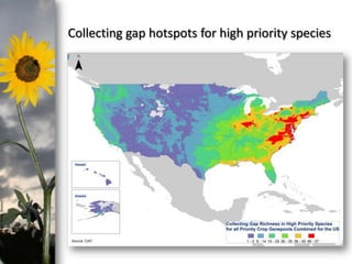 photo- Kasia Stepien

Collecting gap hotspots for high priority species

 