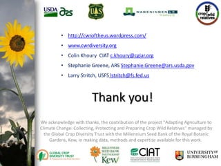 photo- Kasia Stepien

• http://cwroftheus.wordpress.com/
• www.cwrdiversity.org
• Colin Khoury CIAT c.khoury@cgiar.org
• Stephanie Greene, ARS Stephanie.Greene@ars.usda.gov
• Larry Stritch, USFS lstritch@fs.fed.us

Thank you!
We acknowledge with thanks, the contribution of the project "Adapting Agriculture to
Climate Change: Collecting, Protecting and Preparing Crop Wild Relatives" managed by
the Global Crop Diversity Trust with the Millennium Seed Bank of the Royal Botanic
Gardens, Kew, in making data, methods and expertise available for this work.

 