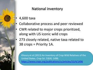 photo- Kasia Stepien

National inventory
• 4,600 taxa
• Collaborative process and peer reviewed
• CWR related to major crops prioritized,
along with US iconic wild crops
• 273 closely related, native taxa related to
38 crops = Priority 1A.
Khoury et al (2013) An Inventory of Crop Wild Relatives of the
United States. Crop Sci. 53(4): 1496.
https://www.crops.org/publications/cs/articles/53/4/1496

 