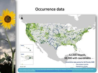 photo- Kasia Stepien

Occurrence data

62,000 records,
38,000 with coordinates

Info on methods: Ramírez-Villegas et al (2010) A Gap Analysis Methodology for Collecting Crop Genepools: A Case Study with Phaseolus Beans. PLoS ONE 5(10): e13497.
6
doi:10.1371/journal.pone.0013497. http://www.plosone.org/article/info%3Adoi%2F10.1371%2Fjournal.pone.0013497

 