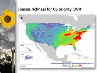 photo- Kasia Stepien

Species richness for US priority CWR

 