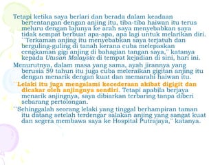 Tetapi ketika saya berlari dan berada dalam keadaan
bertentangan dengan anjing itu, tiba-tiba haiwan itu terus
meluru dengan lajunya ke arah saya menyebabkan saya
tidak sempat berbuat apa-apa, apa lagi untuk melarikan diri.
``Terkaman anjing itu menyebabkan saya terjatuh dan
berguling-guling di tanah kerana cuba melepaskan
cengkaman gigi anjing di bahagian tangan saya,'' katanya
kepada Utusan Malaysia di tempat kejadian di sini, hari ini.
Menurutnya, dalam masa yang sama, ayah jirannya yang
berusia 59 tahun itu juga cuba meleraikan gigitan anjing itu
dengan menarik dengan kuat dan memarahi haiwan itu.
``Lelaki itu juga mengalami kecederaan akibat digigit dan
dicakar oleh anjingnya sendiri. Tetapi apabila berjaya
menarik anjingnya, saya dibiarkan terbaring tanpa diberi
sebarang pertolongan.
``Sehinggalah seorang lelaki yang tinggal berhampiran taman
itu datang setelah terdengar salakan anjing yang sangat kuat
dan segera membawa saya ke Hospital Putrajaya,'' katanya.
 