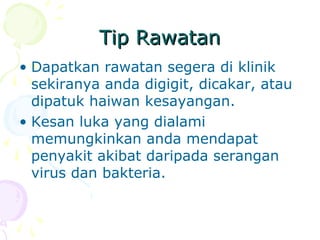 Tip RawatanTip Rawatan
• Dapatkan rawatan segera di klinik
sekiranya anda digigit, dicakar, atau
dipatuk haiwan kesayangan.
• Kesan luka yang dialami
memungkinkan anda mendapat
penyakit akibat daripada serangan
virus dan bakteria.
 