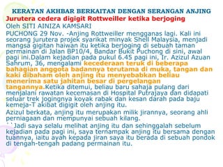 KERATAN AKHBAR BERKAITAN DENGAN SERANGAN ANJING
Jurutera cedera digigit Rottweiller ketika berjoging
Oleh SITI AINIZA KAMSARI
PUCHONG 29 Nov. -Anjing Rottweiller mengganas lagi. Kali ini
seorang jurutera projek syarikat minyak Shell Malaysia, menjadi
mangsa gigitan haiwan itu ketika berjoging di sebuah taman
permainan di Jalan BP10/4, Bandar Bukit Puchong di sini, awal
pagi ini.Dalam kejadian pada pukul 6.45 pagi ini, Ir. Azizul Azuan
Sahrum, 36, mengalami kecederaan teruk di beberapa
bahagian anggota badannya terutama di muka, tangan dan
kaki dibaham oleh anjing itu menyebabkan beliau
menerima satu jahitan besar di pergelangan
tangannya.Ketika ditemui, beliau baru sahaja pulang dari
menjalani rawatan kecemasan di Hospital Putrajaya dan didapati
seluar trek jogingnya koyak rabak dan kesan darah pada baju
kemeja-T akibat digigit oleh anjing itu.
Azizul berkata, anjing itu merupakan milik jirannya, seorang ahli
perniagaan dan mempunyai sebuah kilang.
``Jadi saya selalu melihat anjing itu dan sehinggalah sebelum
kejadian pada pagi ini, saya ternampak anjing itu bersama dengan
tuannya, iaitu ayah kepada jiran saya itu berada di sebuah pondok
di tengah-tengah padang permainan itu.
 