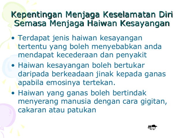 Bab 1 Haiwan Kesayangan