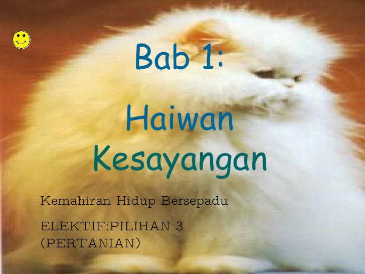 Haiwan Peliharaan Saya Oscarctz