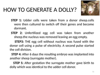 12
HOW TO GENERATE A DOLLY?
STEP 1: Udder cells were taken from a donor sheep.cells
were then cultured to switch off their genes and become
dormant.
STEP 2: Unfertilized egg cell was taken from another
sheep.the nucleus was removed leaving an egg empty.
STEP3: THE egg cell without nucleus was fused with the
donor cell using a pulse of electricity. A second pulse started
the cell division.
STEP 4: After 6 days the resulting embryo was implanted into
another sheep (surrogate mother).
STEP 5: After gestation the surrogate mother gave birth to
dolly which was identical to the udder cell donor.
 