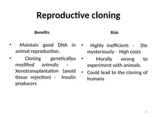 13
Reproductive cloning
Benefits
• Maintain good DNA in
animal reproduction.
• Cloning geneticallya
modified animals: -
Xenotransplantation (avoid
tissue rejection) - Insulin
producers
Risk
• Highly inefficient: - Die
mysteriously - High costs
• Morally wrong to
experiment with animals.
• Could lead to the cloning of
humans
 