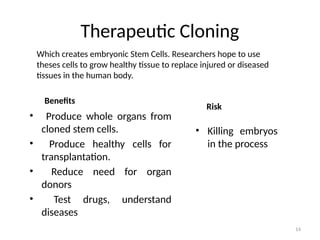 14
Therapeutic Cloning
Benefits
• Produce whole organs from
cloned stem cells.
• Produce healthy cells for
transplantation.
• Reduce need for organ
donors
• Test drugs, understand
diseases
Risk
• Killing embryos
in the process
Which creates embryonic Stem Cells. Researchers hope to use
theses cells to grow healthy tissue to replace injured or diseased
tissues in the human body.
 