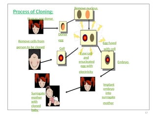 17
Process of Cloning:
Donor
egg
Remove nucleus
Remove cells from
person to be cloned
Human egg donor
Surrogate
mother
with
cloned
baby
Implant
embryo
into
surrogate
mother
Embryo
Cell
Egg fused
with cell
Fuse cell
and
enucleated
egg with
electricity
 