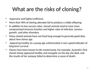 20
What are the risks of cloning?
• Expensive and highly inefficient.
• More than 90% of cloning attempts fail to produce a viable offspring.
• In addition to low success rates, cloned animals tend to have more
compromised immune function and higher rates of infection, tumour
growth, and other disorders.
• Many cloned animals have not lived long enough to generate good data
about how clones age.
• Appearing healthy at a young age unfortunately is not a good indicator of
long term survival.
• Clones have been known to die mysteriously. For example, Australia's first
cloned sheep appeared healthy and energetic on the day she died, and
the results of her autopsy failed to determine a cause of death.
 