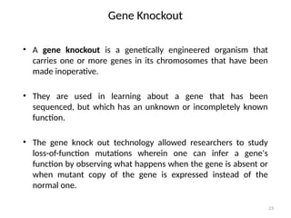 23
Gene Knockout
• A gene knockout is a genetically engineered organism that
carries one or more genes in its chromosomes that have been
made inoperative.
• They are used in learning about a gene that has been
sequenced, but which has an unknown or incompletely known
function.
• The gene knock out technology allowed researchers to study
loss-of-function mutations wherein one can infer a gene's
function by observing what happens when the gene is absent or
when mutant copy of the gene is expressed instead of the
normal one.
 