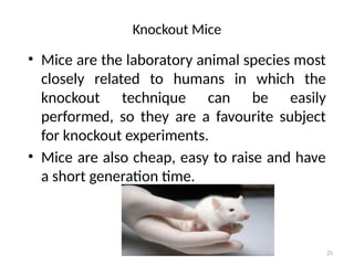 25
Knockout Mice
• Mice are the laboratory animal species most
closely related to humans in which the
knockout technique can be easily
performed, so they are a favourite subject
for knockout experiments.
• Mice are also cheap, easy to raise and have
a short generation time.
 