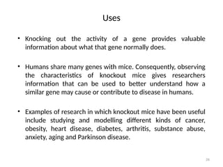 26
Uses
• Knocking out the activity of a gene provides valuable
information about what that gene normally does.
• Humans share many genes with mice. Consequently, observing
the characteristics of knockout mice gives researchers
information that can be used to better understand how a
similar gene may cause or contribute to disease in humans.
• Examples of research in which knockout mice have been useful
include studying and modelling different kinds of cancer,
obesity, heart disease, diabetes, arthritis, substance abuse,
anxiety, aging and Parkinson disease.
 