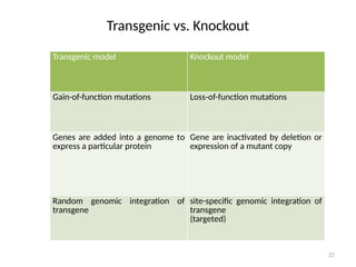 27
Transgenic vs. Knockout
Transgenic model Knockout model
Gain-of-function mutations Loss-of-function mutations
Genes are added into a genome to
express a particular protein
Gene are inactivated by deletion or
expression of a mutant copy
Random genomic integration of
transgene
site-specific genomic integration of
transgene
(targeted)
 