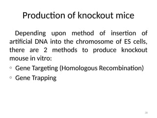 28
Production of knockout mice
Depending upon method of insertion of
artificial DNA into the chromosome of ES cells,
there are 2 methods to produce knockout
mouse in vitro:
o Gene Targeting (Homologous Recombination)
o Gene Trapping
 