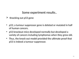 30
Some experiment results..
 Knocking out p53 gene
• p53, a tumour suppressor gene is deleted or mutated in half
of human cancers.
• p53 knockout mice developed normally but developed a
variety of cancers including lymphomas when they grew old.
• Thus, the knock out model provided the ultimate proof that
p53 is indeed a tumour suppressor.
 