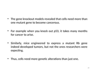 34
• The gene knockout models revealed that cells need more than
one mutant gene to become cancerous.
• For example when you knock out p53, it takes many months
for cancer to arise.
• Similarly, mice engineered to express a mutant Rb gene
indeed developed tumors, but not the ones researchers were
expecting.
• Thus, cells need more genetic alterations than just one.
 