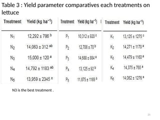 Impact of NPK Fertilizers on Lettuce Growth, Yield, and Nutritional ...