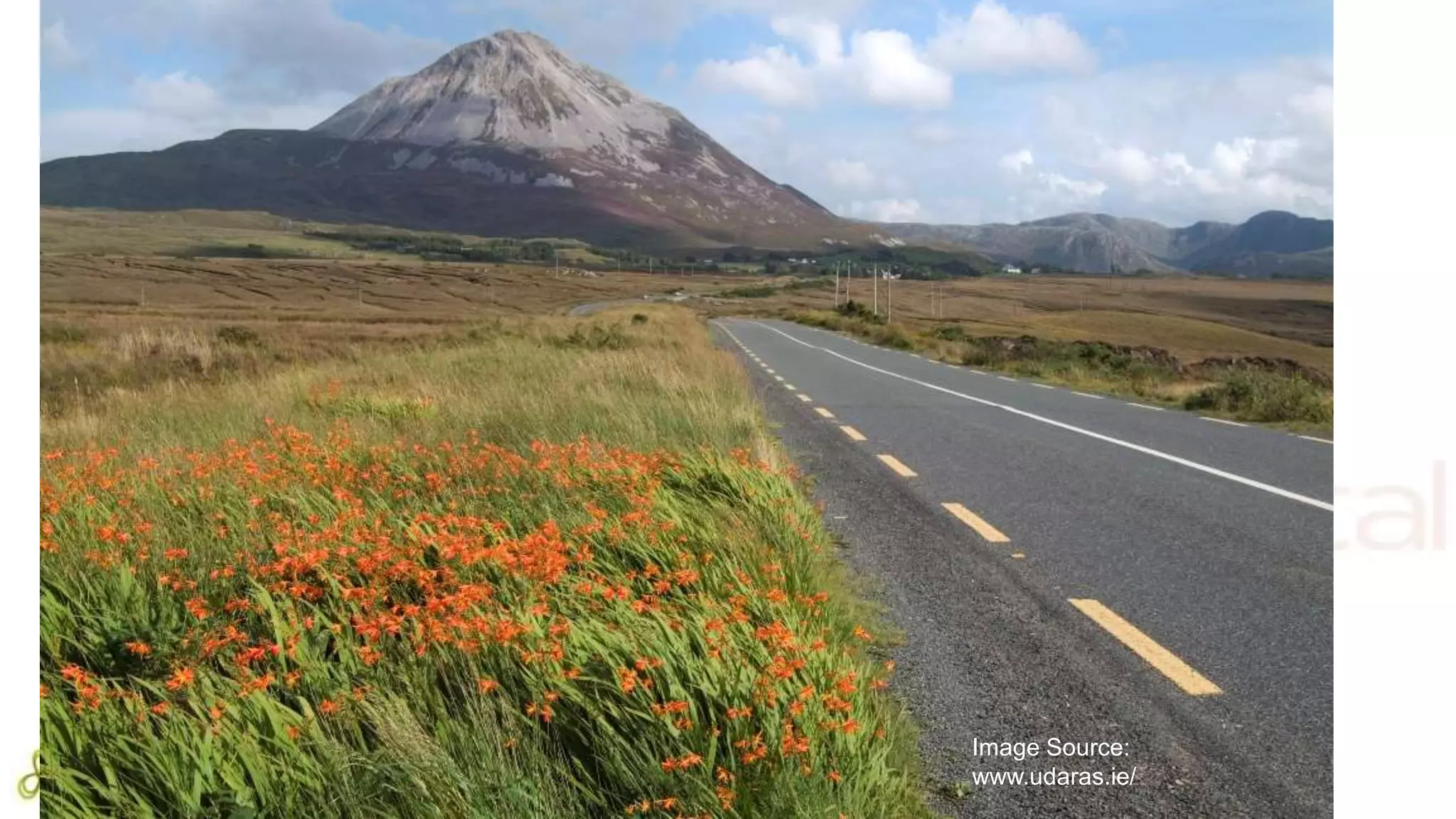 Tip #6: Make the Most of Social Media 
 Listen for a while to what is going on & assess it 
 Don’t go overboard- only go where you customers are 
 Listen for mentions of your brand/ your location 
 Get involved if appropriate 
 Don’t forget that social media is two-way- you can expect interaction 
 It is also real time - & people are impatient! 
 Be emotive… 
 A picture can say a thousand words 
Image Source: 
www.udaras.ie/ 
 