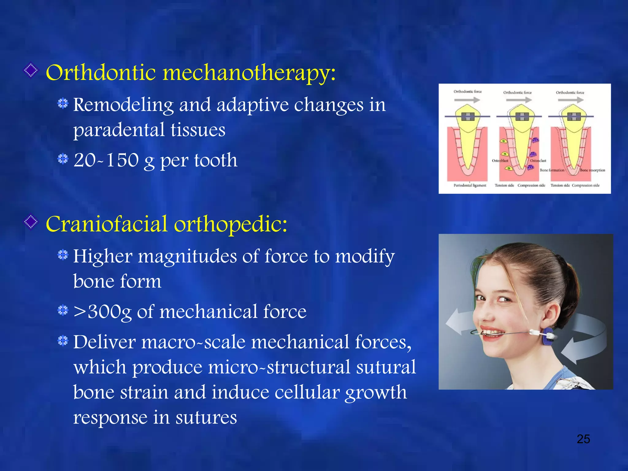 biology of tooth movement | PPT