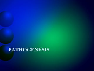 PATHOGENESIS
 