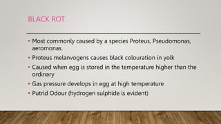 Putrid Rot spoilage of eggs.pptx