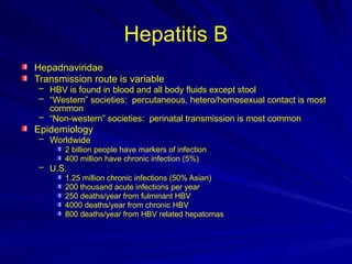 Hepatitis B
Hepadnaviridae
Transmission route is variable
– HBV is found in blood and all body fluids except stool
– “Western” societies: percutaneous, hetero/homosexual contact is most
common
– “Non-western” societies: perinatal transmission is most common
Epidemiology
– Worldwide
2 billion people have markers of infection
400 million have chronic infection (5%)
– U.S.
1.25 million chronic infections (50% Asian)
200 thousand acute infections per year
250 deaths/year from fulminant HBV
4000 deaths/year from chronic HBV
800 deaths/year from HBV related hepatomas
 
