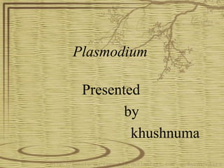 Plasmodium
Presented
by
khushnuma
 