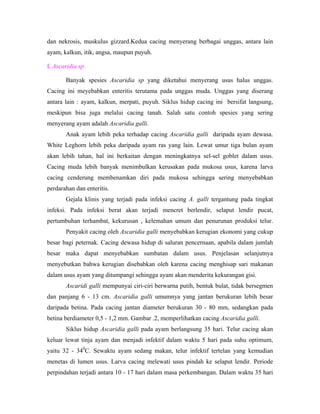 dan nekrosis, muskulus gizzard.Kedua cacing menyerang berbagai unggas, antara lain
ayam, kalkun, itik, angsa, maupun puyuh.
f. Ascaridia sp.
Banyak spesies Ascaridia sp yang diketahui menyerang usus halus unggas.
Cacing ini meyebabkan enteritis terutama pada unggas muda. Unggas yang diserang
antara lain : ayam, kalkun, merpati, puyuh. Siklus hidup cacing ini bersifat langsung,
meskipun bisa juga melalui cacing tanah. Salah satu contoh spesies yang sering
menyerang ayam adalah Ascaridia galli.
Anak ayam lebih peka terhadap cacing Ascaridia galli daripada ayam dewasa.
White Leghorn lebih peka daripada ayam ras yang lain. Lewat umur tiga bulan ayam
akan lebih tahan, hal ini berkaitan dengan meningkatnya sel-sel goblet dalam usus.
Cacing muda lebih banyak menimbulkan kerusakan pada mukosa usus, karena larva
cacing cenderung membenamkan diri pada mukosa sehingga sering menyebabkan
perdarahan dan enteritis.
Gejala klinis yang terjadi pada infeksi cacing A. galli tergantung pada tingkat
infeksi. Pada infeksi berat akan terjadi mencret berlendir, selaput lendir pucat,
pertumbuhan terhambat, kekurusan , kelemahan umum dan penurunan produksi telur.
Penyakit cacing oleh Ascaridia galli menyebabkan kerugian ekonomi yang cukup
besar bagi peternak. Cacing dewasa hidup di saluran pencernaan, apabila dalam jumlah
besar maka dapat menyebabkan sumbatan dalam usus. Penjelasan selanjutnya
menyebutkan bahwa kerugian disebabkan oleh karena cacing menghisap sari makanan
dalam usus ayam yang ditumpangi sehingga ayam akan menderita kekurangan gisi.
Ascaridi galli mempunyai ciri-ciri berwarna putih, bentuk bulat, tidak bersegmen
dan panjang 6 - 13 cm. Ascaridia galli umumnya yang jantan berukuran lebih besar
daripada betina. Pada cacing jantan diameter berukuran 30 - 80 mm, sedangkan pada
betina berdiameter 0,5 - 1,2 mm. Gambar .2, memperlihatkan cacing Ascaridia galli.
Siklus hidup Ascaridia galli pada ayam berlangsung 35 hari. Telur cacing akan
keluar lewat tinja ayam dan menjadi infektif dalam waktu 5 hari pada suhu optimum,
yaitu 32 - 340
C. Sewaktu ayam sedang makan, telur infektif tertelan yang kemudian
menetas di lumen usus. Larva cacing melewati usus pindah ke selaput lendir. Periode
perpindahan terjadi antara 10 - 17 hari dalam masa perkembangan. Dalam waktu 35 hari
 