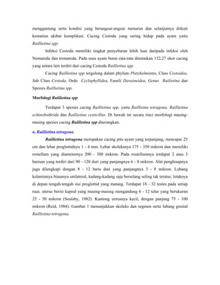 menggantung serta kondisi yang berangsur-angsur menurun dan selanjutnya diikuti
kematian akibat komplikasi. Cacing Cestoda yang sering hidup pada ayam yaitu
Raillietina spp.
Infeksi Cestoda memiliki tingkat penyebaran lebih luas daripada infeksi oleh
Nematoda dan trematoda. Pada usus ayam buras rata-rata ditemukan 132,27 ekor cacing
yang antara lain terdiri dari cacing Cestoda Raillietina spp.
Cacing Raillietina spp tergolong dalam phylum Platyhelmintes, Class Cestoidea,
Sub Class Cestoda, Ordo Cyclophyllidea, Famili Davaineidea, Genus Railietina dan
Spesies Raillietina spp.
Morfologi Raiilietina spp
Terdapat 3 spesies cacing Raillietina spp, yaitu Raillietna tetragona, Raillietina
echinobothrida dan Raillietina cesticillus. Di bawah ini secara rinci morfologi masing-
masing spesies cacing Raiilietina spp diterangkan.
a. Raiilietina tetragona
Raiilietina tetragona merupakan cacing pita ayam yang terpanjang, mencapai 25
cm dan lebar proglottidnya 1 - 4 mm. Lebar skoleksnya 175 - 350 mikron dan memiliki
rostellum yang diameternya 200 - 300 mikron. Pada rostellumnya terdapat 2 atau 3
barisan yang terdiri dari 90 - 120 duri yang panjangnya 6 - 8 mikron. Alat penghisapnya
juga dilengkapi dengan 8 - 12 baris duri yang panjangnya 3 - 8 mikron. Lubang
kelaminnya biasanya unilateral, kadang-kadang saja berselang seling tak teratur, letaknya
di depan tengah-tengah sisi proglottid yang matang. Terdapat 18 - 32 testes pada setiap
ruas. uterus berisi kapsul yang masing-maisng mengandung 6 - 12 telur yang berukuran
25 - 50 mikron (Soulsby, 1982). Kantong sirrusnya kecil, dengan panjang 75 - 100
mikron (Reid, 1984). Gambar 1 menunjukkan skoleks dan segmen serta lubang genital
Raillietina tetragona.
 