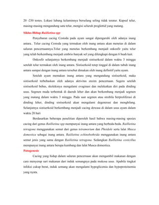 20 -230 testes. Lokasi lubang kelaminnya berselang seling tidak teratur. Kapsul telur,
masing-masing mengandung satu telur, mengisi seluruh proglottid yang matang.
Siklus Hidup Raiilietina spp
Penyebaran cacing Cestoda pada ayam sangat dipengaruhi oleh adanya inang
antara.. Telur cacing Cestoda yang termakan oleh inang antara akan menetas di dalam
saluran pencernaannya.Telur yang menetas berkembang menjadi onkosfir yaitu telur
yang telah berkembang menjadi embrio banyak sel yang dilengkapi dengan 6 buah kait.
Onkosfir selanjutnya berkembang menjadi sistiserkoid dalam waktu 3 minggu
setelah telur termakan oleh inang antara. Sistiserkoid tetep tinggal di dalam tubuh inang
antara sampai dengan inang antara tersebut dimakan oleh inang definitif yaitu ayam.
Setelah ayam memakan inang antara yang mengandung sistiserkoid, maka
sistiserkoid terbebaskan oleh adanya aktivitas enzim pencernaan. Segera setelah
sistiserkoid bebas, skoleksnya mengalami evaginasi dan melekatkan diri pada dinding
usus. Segmen muda terbentuk di daerah leher dan akan berkembang menjadi segmen
yang matang dalam waktu 3 minggu. Pada saat segmen atau strobila berproliferasi di
dinding leher, dinding sistiserkoid akan mengalami degenerasi dan menghilang.
Selanjutnya sistiserkoid berkembang menjadi cacing dewasa di dalam usus ayam dalam
waktu 20 hari
Berdasarkan beberapa penelitian diperoleh hasil bahwa masing-masing spesies
cacing dari genus Raillietina spp mempunyai inang antara yang berbeda-beda. Raillietina
tetragona menggunakan semut dari genus tetramorium dan Pheidole serta lalat Musca
domestica sebagai inang antara. Raiilietina echinobothrida menggunakan inang antara
semut jenis yang sama dengan Raiilietina tetragona. Sedangkan Raillietina cesticillus
mempunyai inang antara berupa kumbang dan lalat Musca domestica.
Patogenesis
Cacing yang hidup dalam saluran pencernaan akan mengambil makanan dengan
cara menyerap sari makanan dari induk semangnya pada mukosa usus. Apabila tingkat
infeksi cukup berat, induk semang akan mengalami hypoglicemia dan hypoproteinemia
yang nyata.
 