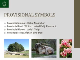 PROVISIONAL SYMBOLS
o Provincial animal : Kabul Maarkhor
o Provincial Bird : White crested Kalij, Pheasant.
o Provincial Flower: Lady’s Tulip
o Provincial Tree: Afghan pine tree
 