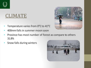 CLIMATE
• Temperature varies from 0°Cto 41°C
• 400mmfalls in summer moon soon
• Province has most number of forest as compare to others
31.8%
• Snow falls during winters
 