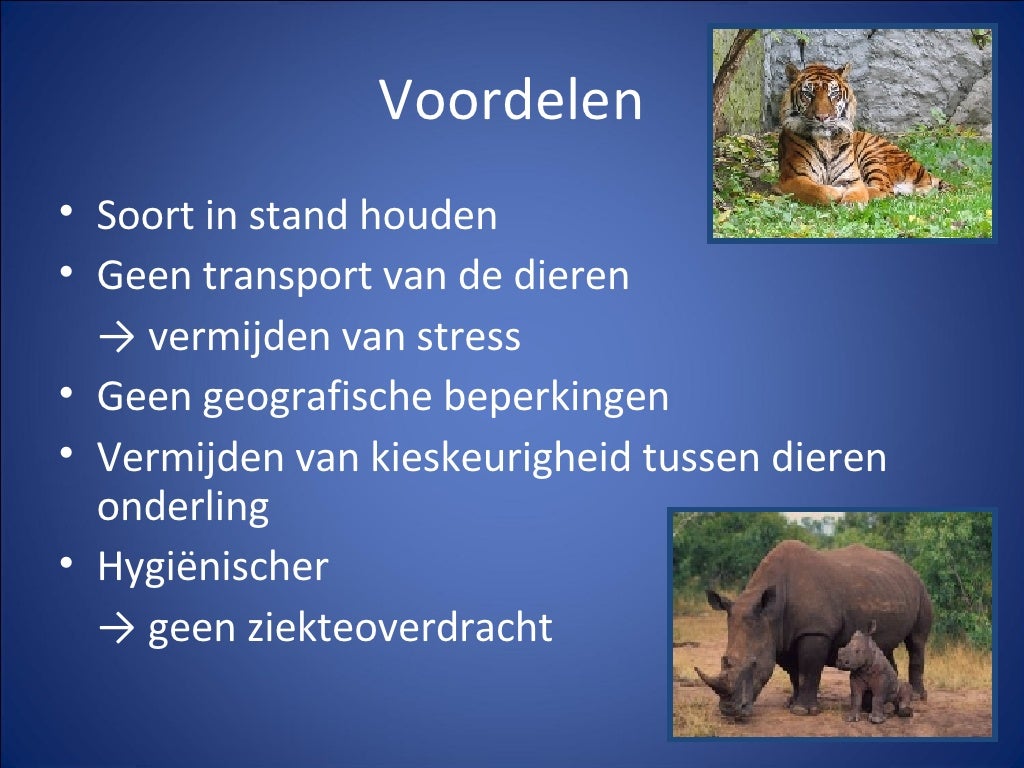 K.I. bij bedreigde diersoorten