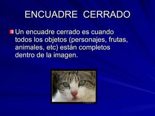 ENCUADRE  CERRADO Un encuadre cerrado es cuando todos los objetos (personajes, frutas, animales, etc) están completos dentro de la imagen. 