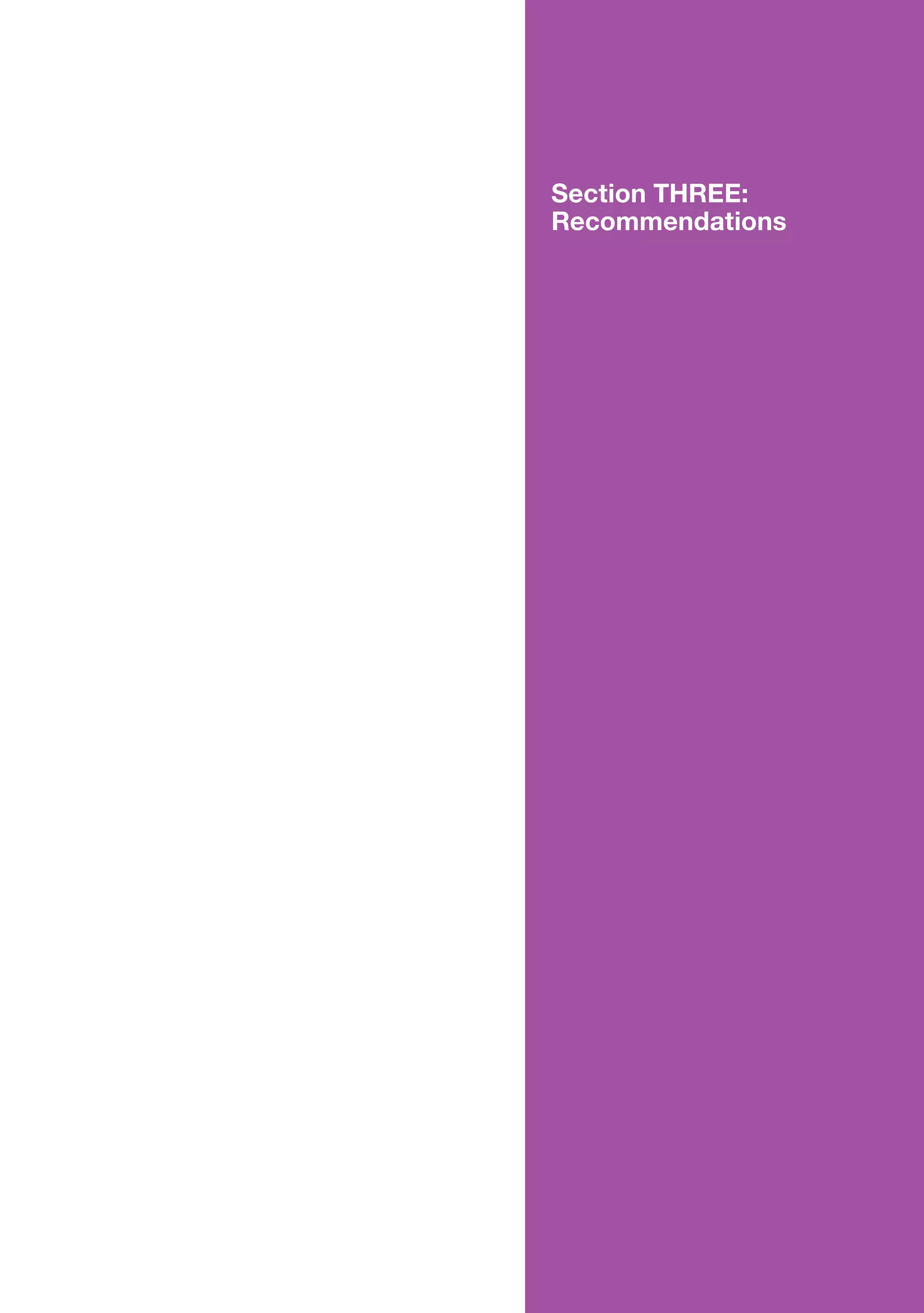 Section THREE: 
Recommendations
 
