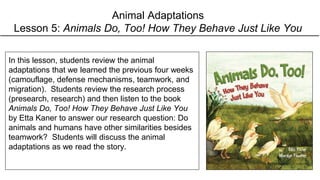 In this lesson, students review the animal
adaptations that we learned the previous four weeks
(camouflage, defense mechanisms, teamwork, and
migration). Students review the research process
(presearch, research) and then listen to the book
Animals Do, Too! How They Behave Just Like You
by Etta Kaner to answer our research question: Do
animals and humans have other similarities besides
teamwork? Students will discuss the animal
adaptations as we read the story.
Animal Adaptations
Lesson 5: Animals Do, Too! How They Behave Just Like You
 