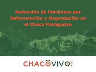 Reducción de Emisiones por
Deforestación y Degradación en
el Chaco Paraguayo
 