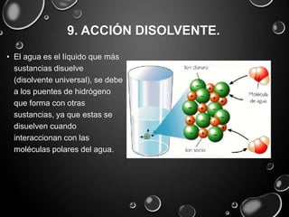 el agua y sus propiedades | PPT