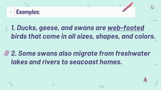 1. Ducks, geese, and swans are web-footed
birds that come in all sizes, shapes, and colors.
2. Some swans also migrate from freshwater
lakes and rivers to seacoast homes.
Examples:
 