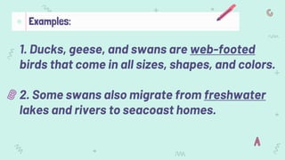 1. Ducks, geese, and swans are web-footed
birds that come in all sizes, shapes, and colors.
2. Some swans also migrate from freshwater
lakes and rivers to seacoast homes.
Examples:
 