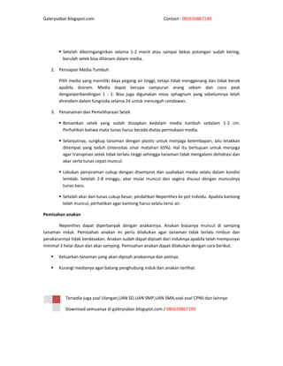 Galerysabar.blogspot.com                                    Contact : 085650867199




         Setelah dikeringanginkan selama 1-2 menit atau sampai bekas potongan sudah kering,
         barulah setek bisa ditanam dalam media.

   2. Persiapan Media Tumbuh

       Pilih media yang memiliki daya pegang air tinggi, tetapi tidak menggenang dan tidak becek
       apabila disiram. Media dapat berupa campuran arang sekam dan coco peat
       denganperbandingan 1 : 1. Bisa juga digunakan moss sphagnum yang sebelumnya telah
       direndam dalam fungisida selama 24 untuk mencegah cendawan.

   3. Penanaman dan Pemeliharaan Setek

         Benamkan setek yang sudah disiapkan kedalam media tumbuh sedalam 1-2 cm.
         Perhatikan bahwa mata tunas harus berada diatas permukaan media.

         Selanjutnya, sungkup tanaman dengan plastic untuk menjaga kelembapan, lalu letakkan
         ditempat yang teduh (intensitas sinar matahari 65%). Hal itu bertujuan untuk menjaga
         agar transpirasi setek tidak terlalu tinggi sehingga tanaman tidak mengalami dehidrasi dan
         akar serta tunas cepat muncul.

         Lakukan penyiraman cukup dengan disemprot dan usahakan media selalu dalam kondisi
         lembab. Setelah 2-8 minggu, akar mulai muncul dan segera disusul dengan munculnya
         tunas baru.

         Setelah akar dan tunas cukup besar, pindahkan Nepenthes ke pot indvidu. Apabila kantong
         telah muncul, perhatikan agar kantong harus selalu terisi air.

Pemisahan anakan

       Nepenthes dapat diperbanyak dengan anakannya. Anakan biasanya muncul di samping
tanaman induk. Pemisahan anakan ini perlu dilakukan agar tanaman tidak terlalu rimbun dan
perakarannya tidak berdesakan. Anakan sudah dapat dipisah dari induknya apabila telah mempunyai
minimal 3 helai daun dan akar samping. Pemisahan anakan dapat dilakukan dengan cara berikut.

       Keluarkan tanaman yang akan dipisah anakannya dan potnya.

       Kurangi medianya agar batang penghubung induk dan anakan terlihat




          Tersedia juga soal Ulangan,UAN SD,UAN SMP,UAN SMA,soal-soal CPNS dan lainnya

          Download semuanya di galerysabar.blogspot.com / 085650867199
 