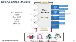 20
Data Commons Structure
DICOM, AIM
Amazon
Google
IBM
Imaging
Validator
Q/A
Proteomic
Validator
Q/A
Clinical Phenotype
Validator
Q/A
MOD Phenotype
Validator
Q/A
Pathology
Radiology
Mass
Spectrometry
Array
Data
Commons
Security
Visualization
Authentication
& Authorization
Genomic
Validator
Q/A Germline Pipelines
DNA, RNA Pipelines
EMRs, Clinical
Trials
Azure
Data Contributors and Consumers
Researchers PatientsCliniciansInstitutions
NCI Thesaurus
caDSR
NLM UMLS
RxNorm
LOINC
SNOMED
 