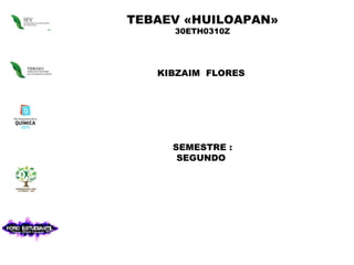 TEBAEV «HUILOAPAN» 30ETH0310Z KIBZAIM  FLORES  SEMESTRE : SEGUNDO  